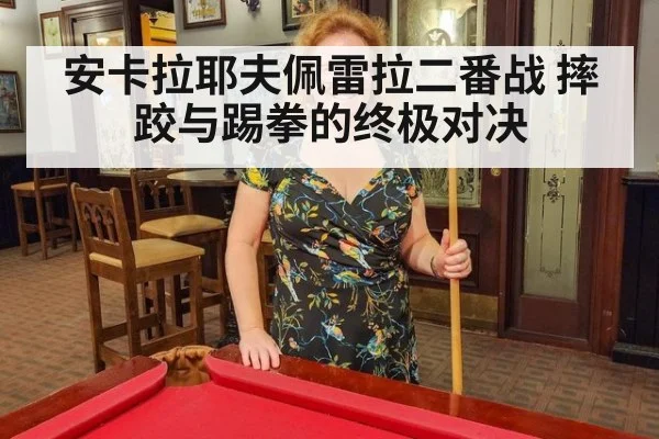 安卡拉耶夫佩雷拉二番战 摔跤与踢拳的终极对决