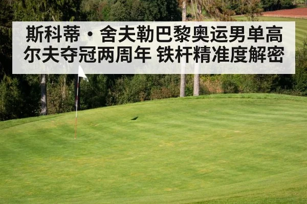 斯科蒂·舍夫勒巴黎奥运男单高尔夫夺冠两周年 铁杆精准度解密 - hth