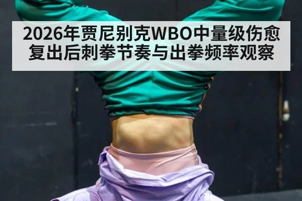2026年贾尼别克WBO中量级伤愈复出后刺拳节奏与出拳频率观察 - hth