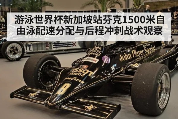 游泳世界杯新加坡站芬克1500米自由泳配速分配与后程冲刺战术观察 | hth